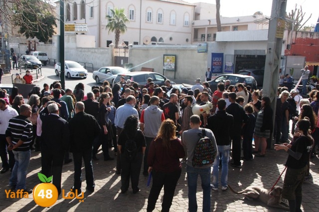 td7sanosrof (19).JPG